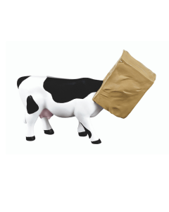 Cow Hide (medium)