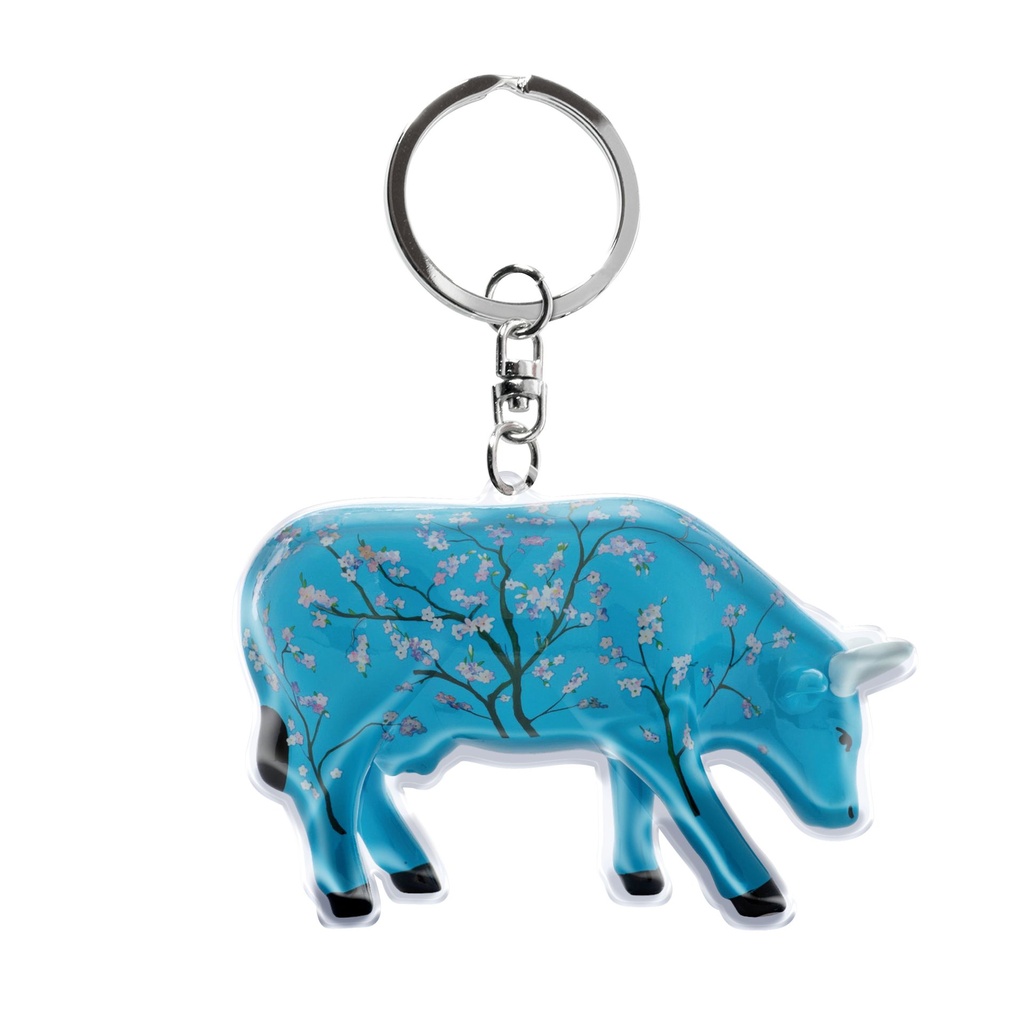 Card & Keyring - For Vincent