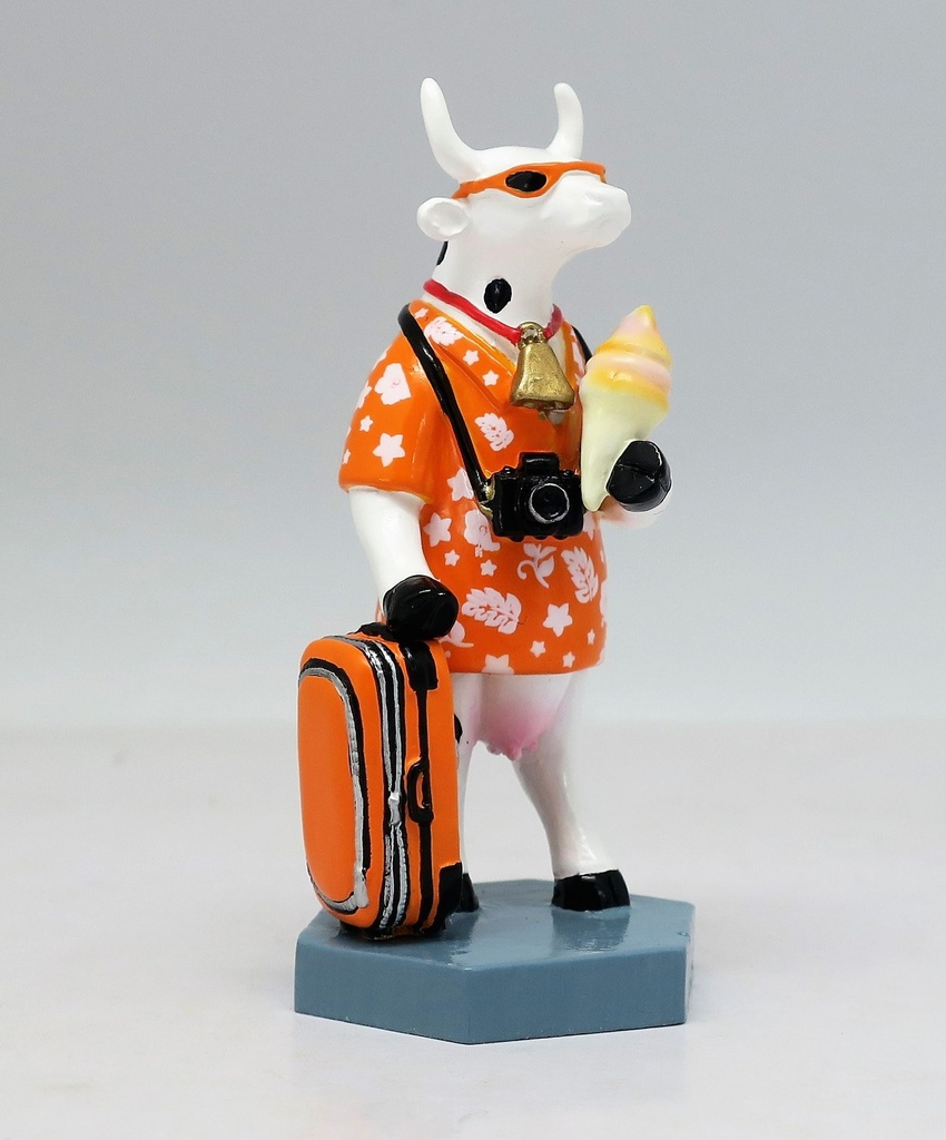 Vacation (small)