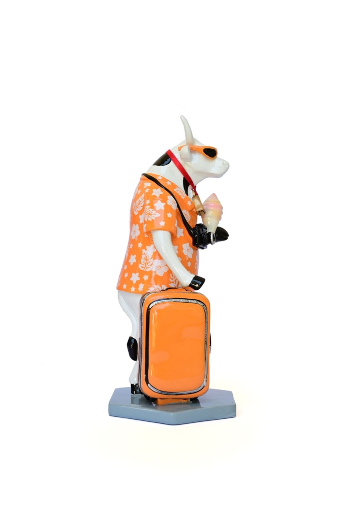 Vacation (medium)